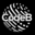 CodeB Authenticator software