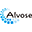 Alvosenet Information Protection software