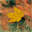 Autumn Scenery software