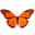 Butterfly On Desktop software