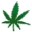 Cannabinatic Screensaver software