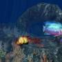 3D Aquatic Life Screensaver: Fish! 1.1.0 screenshot