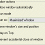 Actual Window Guard 8.15.1 screenshot