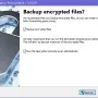 Avast Decryption Tool for AtomSilo and LockFile 1.0.0.750 screenshot