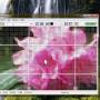 Desktop Magnifier 3.28 screenshot