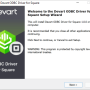 Square ODBC Driver by Devart 2.1.1 screenshot
