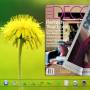 Easy PDF Tools Themes for Green Yellow Flowers 1.0 screenshot
