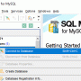 EMS SQL Management Studio for MySQL 1.3.1 Build 206 screenshot