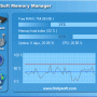 FinitySoft Memory Manager 4.0.4.483 screenshot