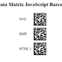 JavaScript Data Matrix Generator 19.11 screenshot