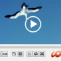 HD Video Media Player for Mac OSX 2018 screenshot