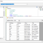 Insightly CRM SSIS Components by Devart 3.0.630 screenshot