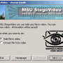 MSU StegoVideo 1.0 screenshot