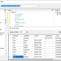 NetSuite SSIS Components by Devart 3.0.630 screenshot