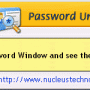 Nucleus Kernel Password Unmask 1.0 screenshot