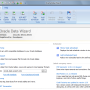 Oracle Data Wizard 16.2 screenshot