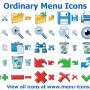 Ordinary Menu Icons 2013 screenshot