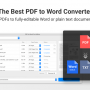 PDF to Word Pro Edition 1.0 screenshot