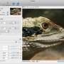PhotoZoom Pro for Mac 8.2.0 screenshot