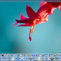 SSuite Mac Dock For PC 8.6.10.2 screenshot