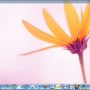 SSuite NetVine LAN Suite 2.6.4.4 screenshot