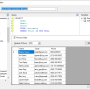 Stripe SSIS Components by Devart 3.0.630 screenshot