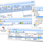TaskMerlin Project Management Software 5.0.0.8 screenshot