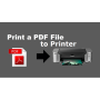 VeryUtils PDF to Printer Command Line 2.7 screenshot