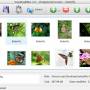 Visual LightBox Mac 4.8.3 screenshot
